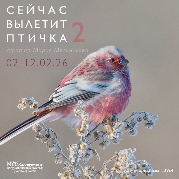 Сейчас вылетит птичка - 2